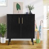 SIHANM 000045_PB 2 Door Storage Cabinet, Pure Black