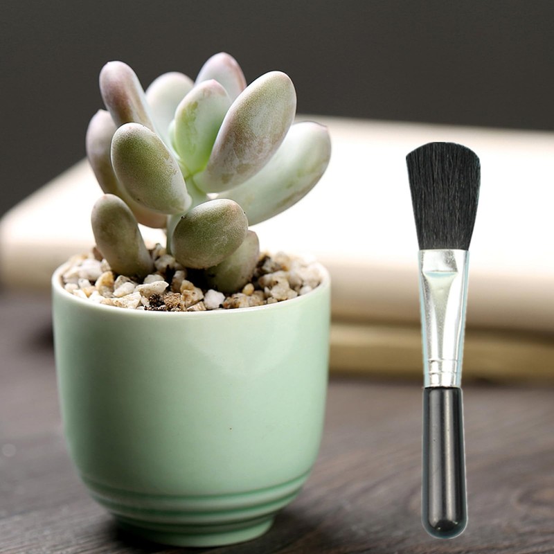 2 Pcs Diatomaceous Earth Duster Succulent Cleaning Brush, Plant Leaf