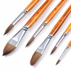 Sable Watercolour Brushes Set-Artist Paint Brushes 6PCS Professional Kolinsky Paint