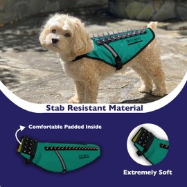 CoyoteVest Dog Harness Protection Vest, Reflective Dog Accessories with Spikes to Shield Your Pet from Raptor and Animal Attacks, Proudly Made in America (Small, Turquoise)