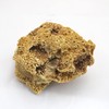 Reef Rock, 21 x 17 x 13 cm, Rock Stone