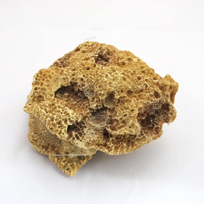 Reef Rock, 21 x 17 x 13 cm, Rock Stone