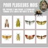 Générique Double Action Moth Trap - Food and Clothing -