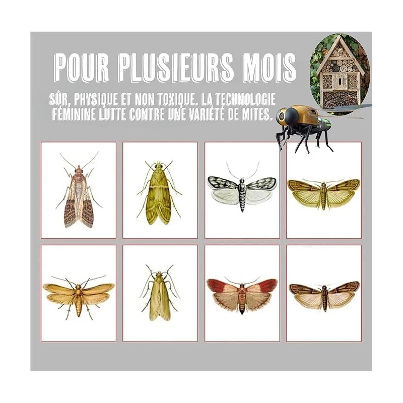 Générique Double Action Moth Trap - Food and Clothing -