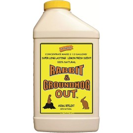 Deer Out Rabbit & Groundhog Repellent: Rabbit Out 32oz Concentrate