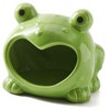 Ceramic Frog Sponge Holder for Kitchen Sink - Cute Sponge