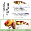 OHF Metal Vibration Set 10g 15g 20g 24g Case Set