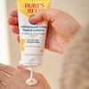 Burt’s Bees Advanced Care Hand Cream for very dry, chapped