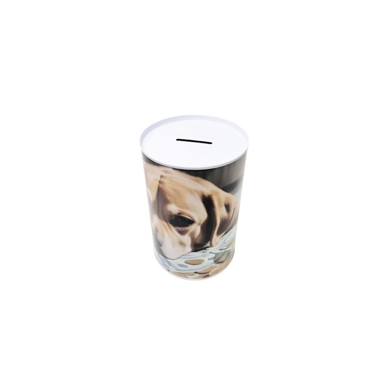 Money Box Metal Cannot Open with Dog Picture Golden Retriever
