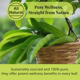200+ Hojas De Guanabana Secas, Sour sop Leaves, Whole Dried Soursop Graviola Leaves, 100% All Natural Guanabana Leaf, Loose Leaf Tea, Caffeine Free, Non-GMO. by Akshit