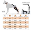 DGYAO Dog Knee Brace for ACL, Knee Cap Dislocation, Arthritis