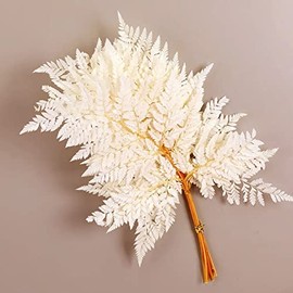 Prefleur Preserved Real Green Ferns Dried Green Fern Tips Stems Wedding Garlands Home Decorations Bouquets Flower Arrangements Wall Hanging Dried (White)