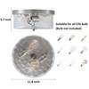Litaddscen Hammered Glass Brushed Nickel Flush Mount Ceiling Light,2-Lights Modern