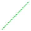 Sunshine Mason Co. Plastic Reusable Drinking Straws 6 Pieces, Green
