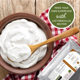 Lactobacillus Reuteri 15g | 5 Billion CFU Probiotic + Chicory Root Prebiotic (Inulin) | Vegan Friendly Powder UK Made | 1g Daily (15 Servings)