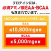 GronG Whey Protein 100 Basic Trial Pack Chocolate Flavor 30g
