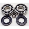 Traverse Creek Incorporated DUKE'S Crank and PIN Bearings with Seals