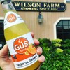 GuS Grown-Up Soda | Lightly Sweetened Sodas with Real Juices