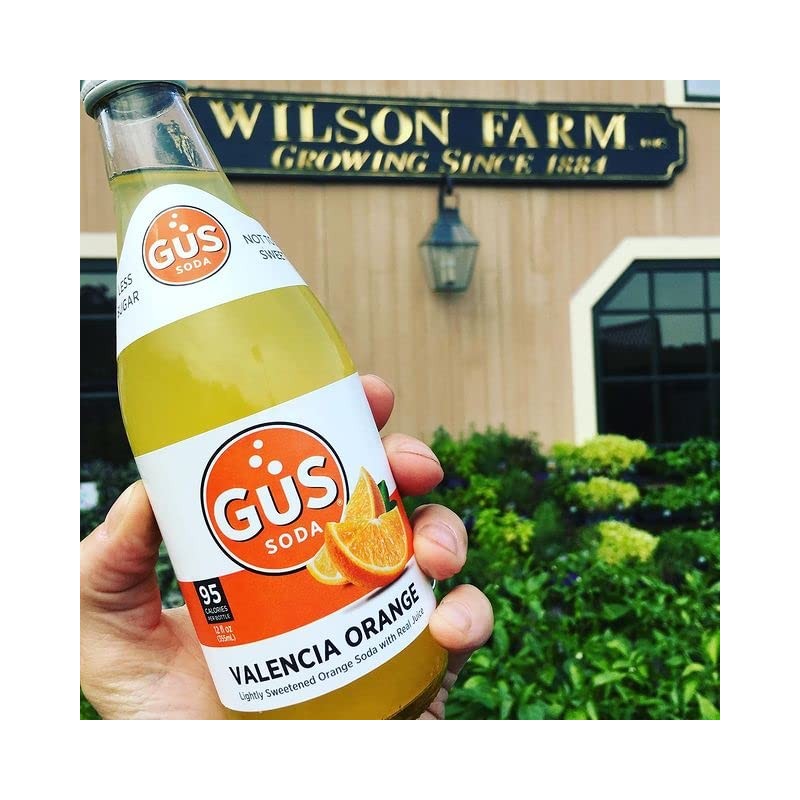 GuS Grown-Up Soda | Lightly Sweetened Sodas with Real Juices