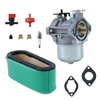 iDMRURvm Carburettor for Briggs & Stratton 286702 286707 289702 289707