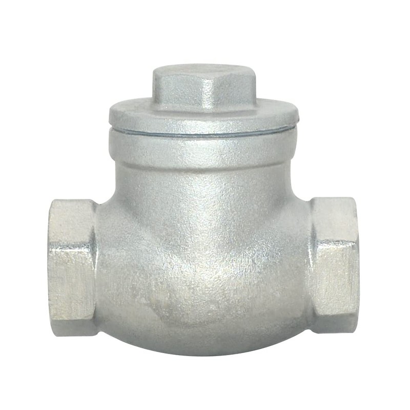 VARMHUS Stainless Steel SS316 Swing Check Valve,NPT Female x Female