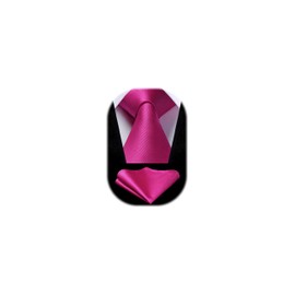 HISDERN Mens Ties for Men Hot Pink Tie with Pocket Square Set Magenta Necktie Satin Silk Fuchsia Neck Tie Set Light Neon Fluorescent Tie Handkerchiefs Wedding
