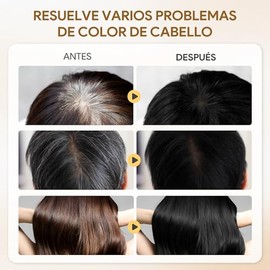 Black Hair Dye Shampoo 3 in 1, Shampoo para Canas con Tinte, Champú para Teñir el Cabello Negro, Cobertura de Canas con Ingredientes Herbales, 500ml (
