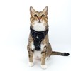 pangdi Cat Harness and Leash Set Escape Proof Tactical Extra