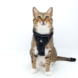 pangdi Cat Harness and Leash Set Escape Proof Tactical Extra Large Kitten Harness Emotional Support Cat Vest, Black, XL