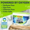 OxiClean Free Versatile Stain Remover Powder, No Dyes or Perfumes,