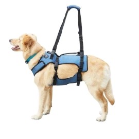 DO&G Coodeo Dog Lift Harness Pet Support Rehab Small Blue