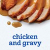 Gerber 2nd Foods Meats - Chicken & Gravy - 2.5