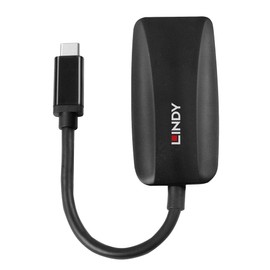 LINDY USB Type C to DisplayPort 1.4 Converter 43337