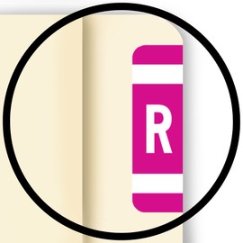 Doctor Stuff - File Folder Labels, Alphabet Letter R, Compatible with Smead Alpha-Z Acc/ACCS - SMAM Series Alpha Stickers Purple, 1-5/8" x 1”, 100 Labels per Package