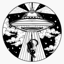 UFO Cat Sticker Outdoor Rated Vinyl Sticker Decal for Windows, Bumpers, Laptops or Crafts 5"