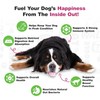 Doggie Dailies Probiotics for Dogs - Advanced Dog Probiotics with