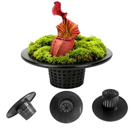 Gyfofix 6 Inch Net Pots with Wide Lids for 3.5 and 5 Gallon Buckets 5 Pack Hydroponic Net Cups