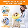 Recovery Collars & Cones (Large)