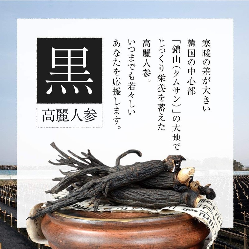 シードコムス 黒 高麗人参 サプリメント 健康 サプリ サプリメント 黒人参 高麗人参 オタネニンジン