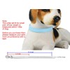 TenCloud Pet Collar Set of 12 or 16 Adjustable ID