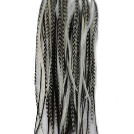 Feather Hair Extensions, 100% Real Rooster Feathers, Black and White Grizzly 5 Feathers Bonded at The tip