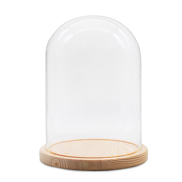 Orqihod Glass Cloche Dome D3.5 xH5.9 Clear Display Bell Jar