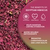Worldwide Botanicals Organic Hibiscus Tea – 1 lb, Loose Leaf,