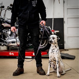 Wolfgang Heavy Duty Dog Leash, Pull-Tested to Over 800 lbs for Walking & Training, DarkSkies Print, Small