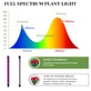 Grow Lights for Indoor Plants - Red & Blue Spectrum