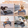 Decflow Decflow 3-in-1 Elevated Dog Bowls, 4 Height Adjustable Raised