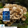 Maitake Orgánico 120 Cápsulas | Suplemento Inmunológico Natural | Saisa