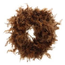 Zac's Alter Ego Fancy Dress Feather Boa - Great for Burlesque/Hen Dos