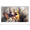 Pets-easy Rectangular Sticker Dog 60 cm German Shepherd