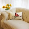 Ogiselestyle Christmas Cardinal Throw Pillow Covers, 12 x 20 Inch
